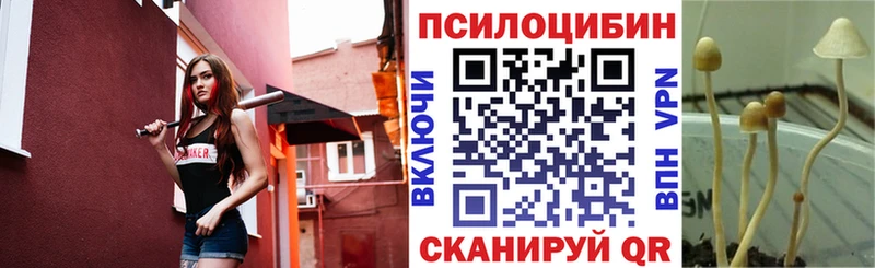 Галлюциногенные грибы Psilocybine cubensis блэк спрут ссылки Кинель